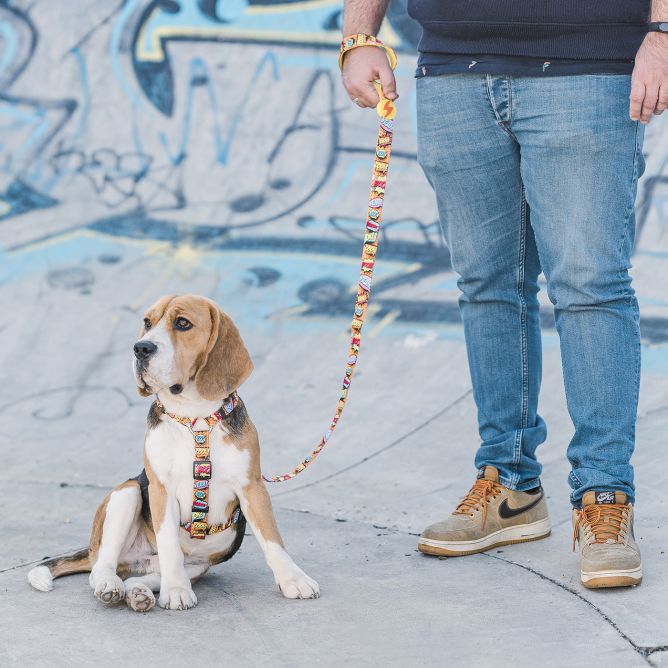 Muguras iemaukti suniem BOOM, S