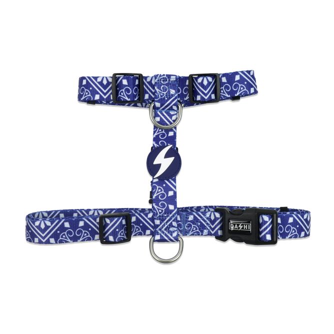 Muguras iemaukti ZILLIJ, M