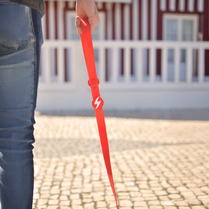 Pavada suņiem COLORFLEX, sarkana, S