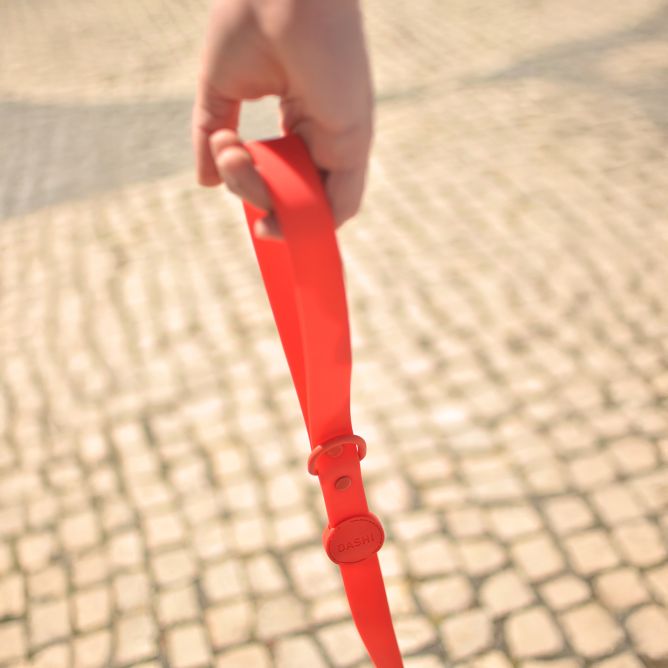 Pavada suņiem COLORFLEX, sarkana, XS