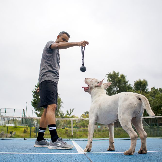 Rotaļlieta suņiem Black Rubber Ball