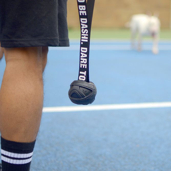 Rotaļlieta suņiem Black Rubber Ball