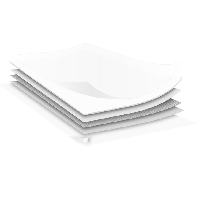 Uzsūcošie paladziņi FOREST, 60x40cm, 30 gab.