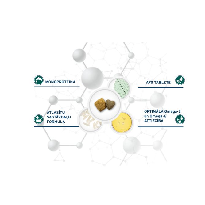 VetDiet All Size Echo, 4kg