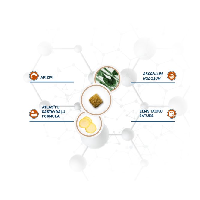 VetDiet All Size Gastroenteric Low Fat, 4kg