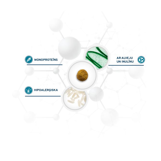 VetDiet All Size Hypoallegenic Insect, 1,5kg