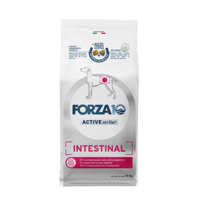 VetDiet All size Intestinal, 10kg