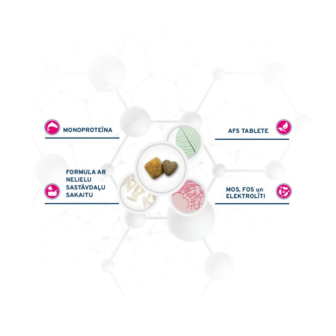 VetDiet All Size Intestinal, 4kg