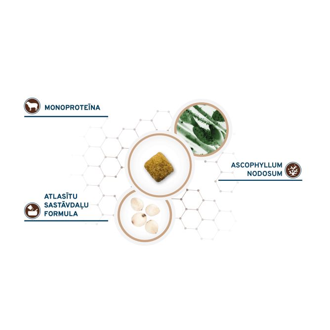 VetDiet All Size Intestinal Colon FASE 1 ar jēru un sorgo, 1,5kg