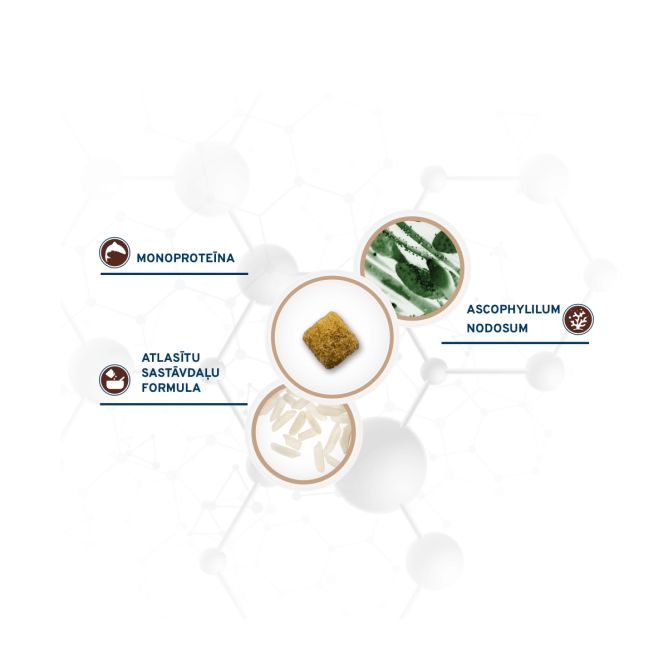 VetDiet All Size Intestinal Colon FASE 2, 10kg