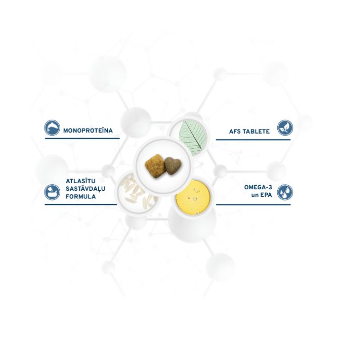 VetDiet  All Size Puppy Condro, 10kg