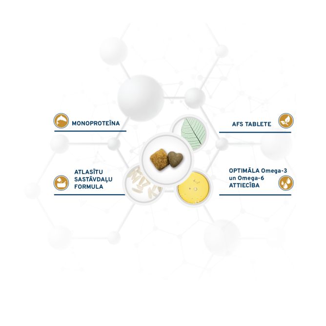 VetDiet All size Urinary, 10kg