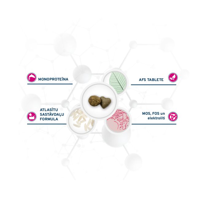 VetDiet Cat Intestinal, 400g