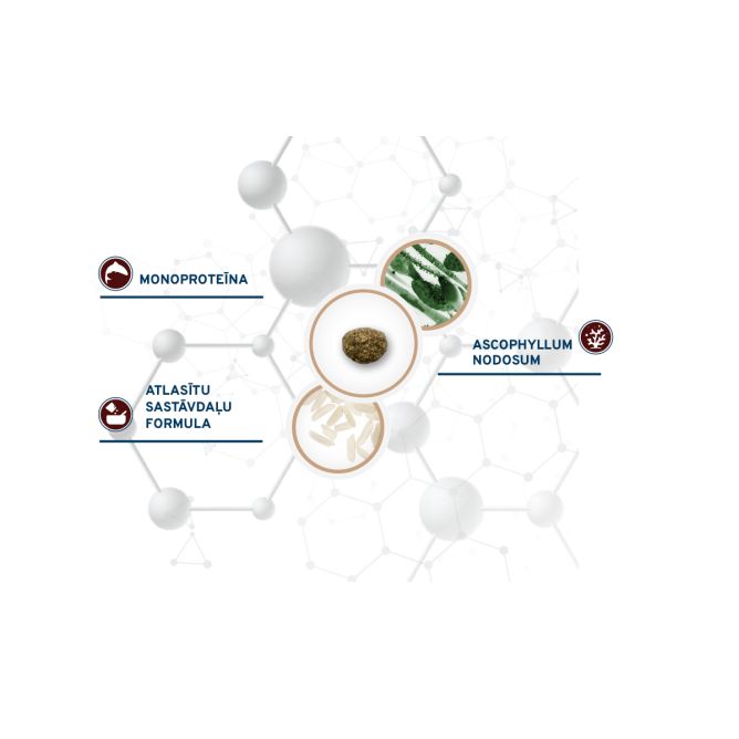 VetDiet Cat Intestinal Colon, 400g