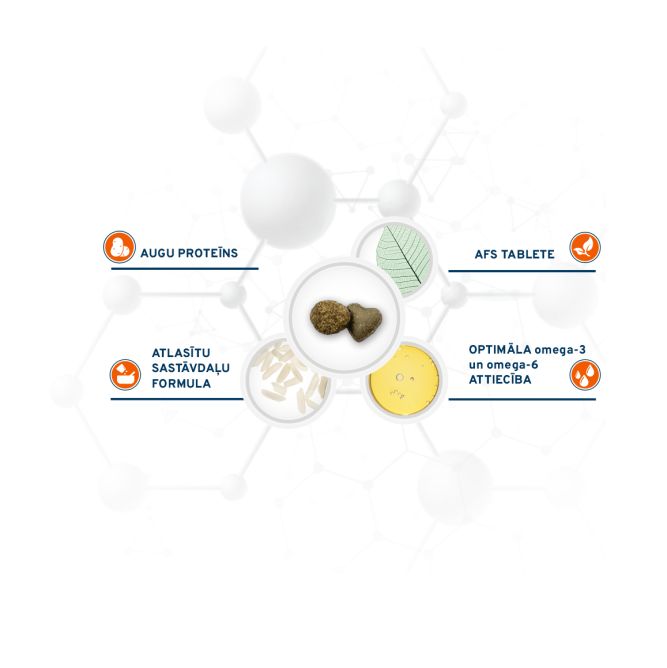 VetDiet Cat Renal, 1,5kg