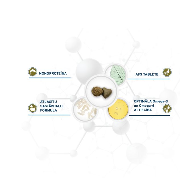 VetDiet Periaction Mini/Toy, 1,5kg