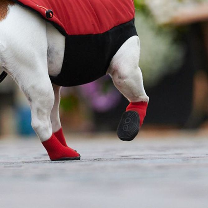 Zābaciņi suņiem, sarkani, 2XS, 4gb.