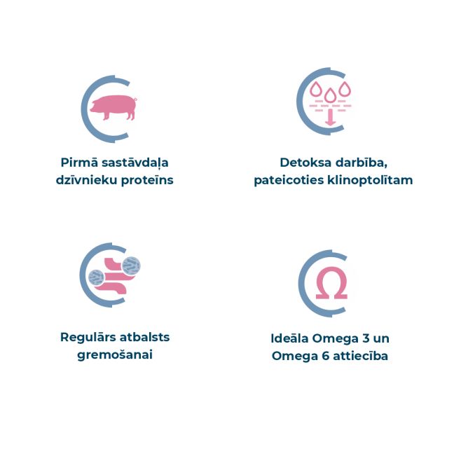 Best Breeders All Breeds 26/14 ar cūkgaļu, 20kg