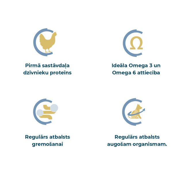 Best Breeders Starter puppy ar pimpienu, 12kg