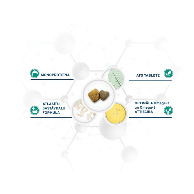 VetDiet All Size Weight Control, 4kg