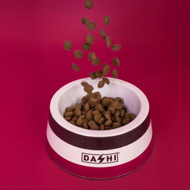 Dashi bļoda STRIPES3, violeta/melna, L