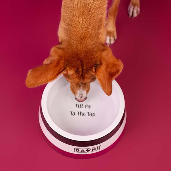 Dashi bļoda STRIPES3, violeta/melna, L