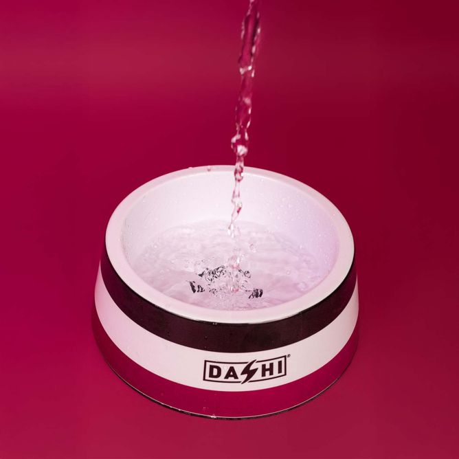 Dashi bļoda STRIPES3, violeta/melna, L