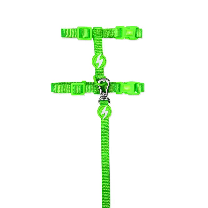 Dashi iemaukti un pavada kaķiem NEON GREEN