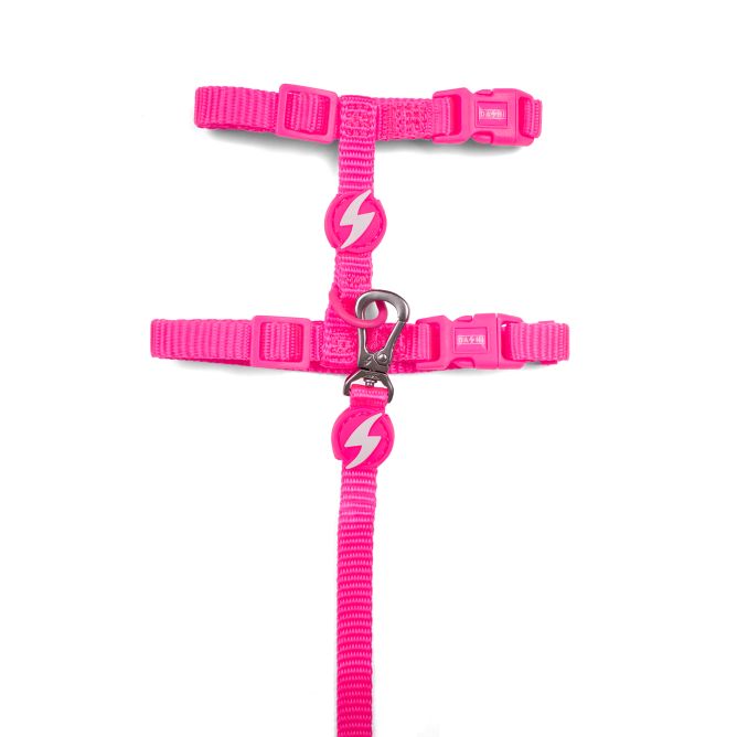 Dashi iemaukti un pavada kaķiem NEON PINK