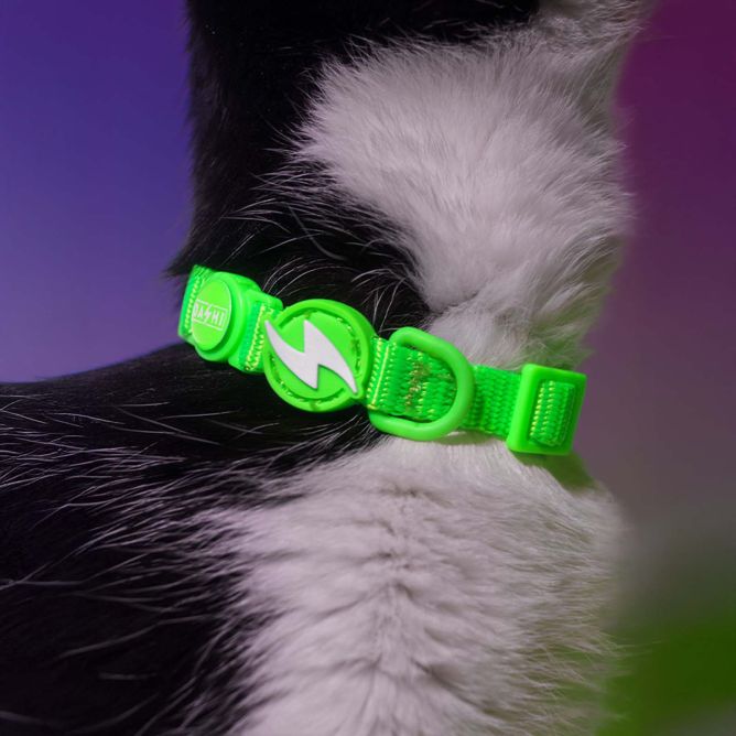 Dashi kaklasiksna kaķiem NEON GREEN