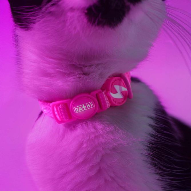 Dashi kaklasiksna kaķiem NEON PINK
