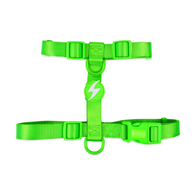 Dashi muguras iemaukti suņiem NEON GREEN, L