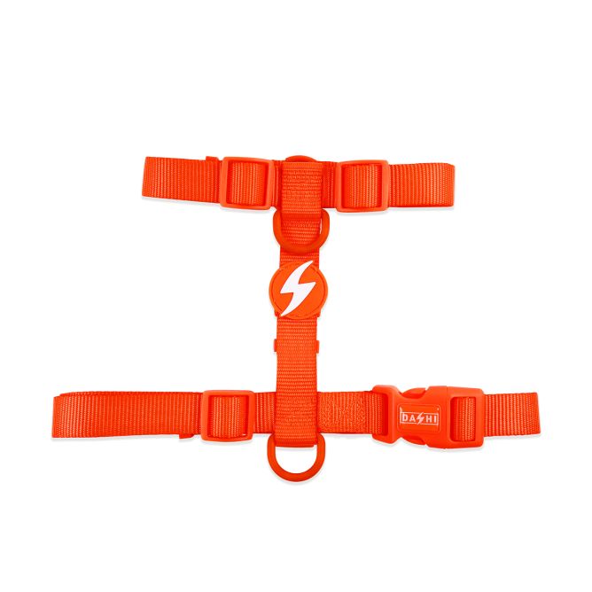 Dashi muguras iemaukti suņiem NEON ORANGE, S