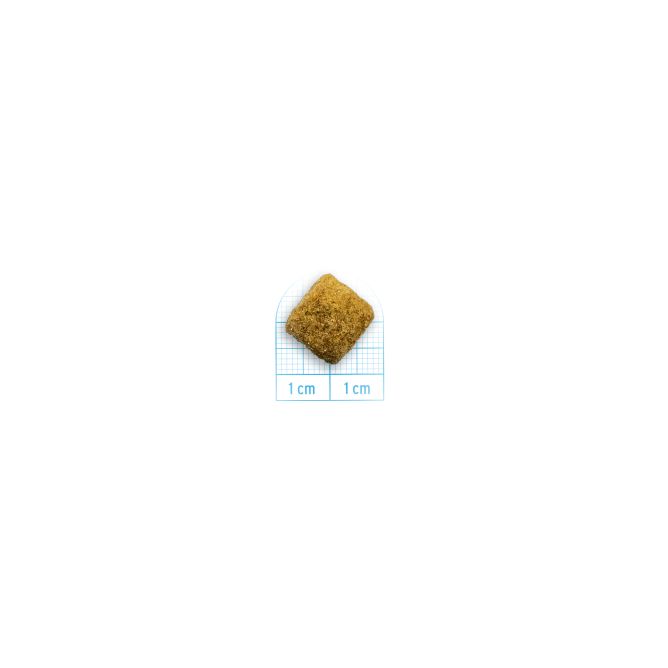 Forza10 Active VetDiet INTESTINAL COLON Fase 1, ar jēru un sorgo, 10 kg