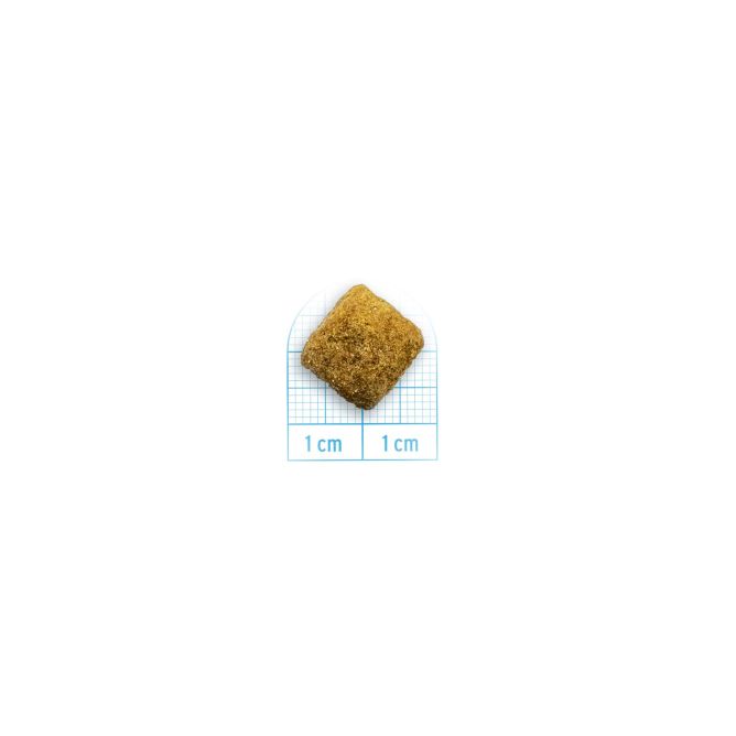 Forza10 Active VetDiet INTESTINAL COLON Fase 2, ar jēru un sorgo, 1,5 kg