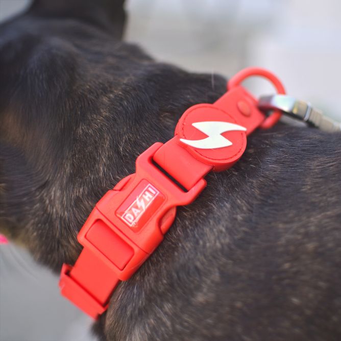 Kaklasiksna suņiem COLORFLEX, sarkana, L