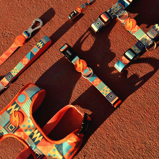 Kaklasiksna suņiem TERRACOTTA, S