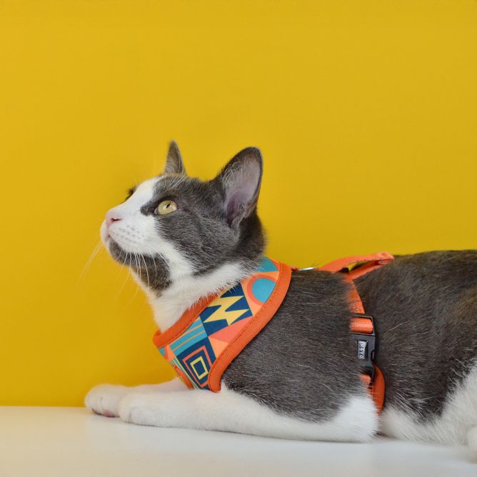 Mīkstie NeoMesh muguras iemaukti suņiem TERRACOTTA, XL