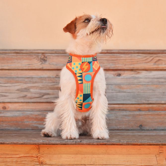 Mīkstie NeoMesh muguras iemaukti suņiem TERRACOTTA, XL