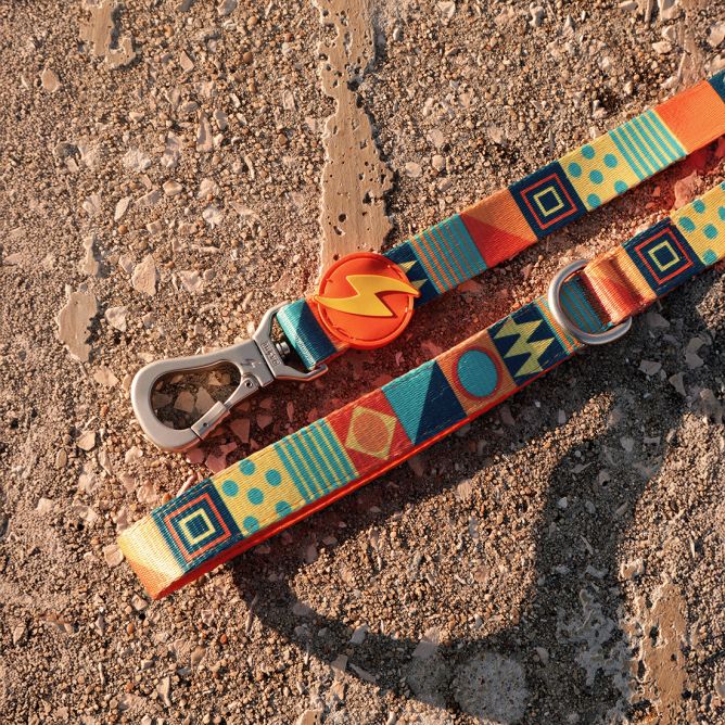 Pavada suņiem TERRACOTTA, L