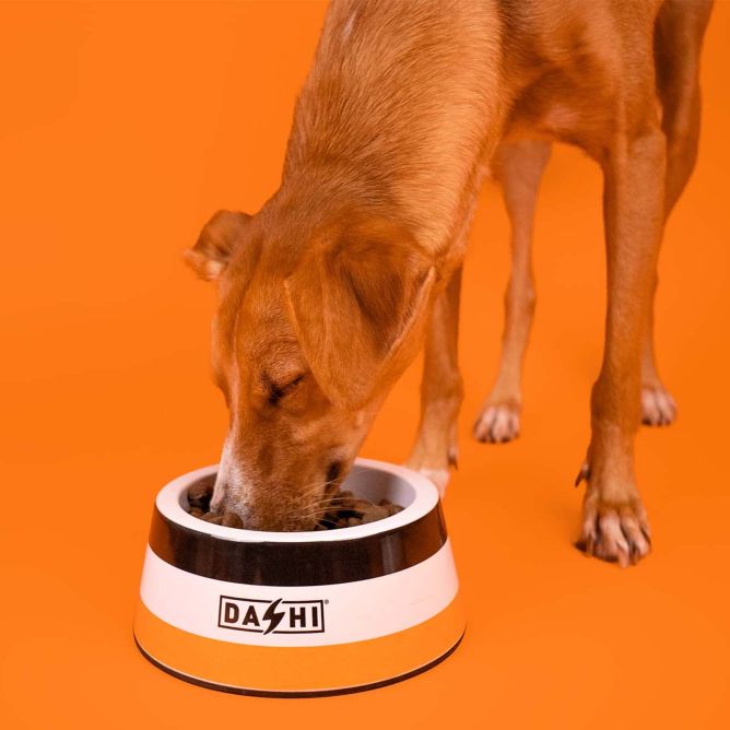 Dashi bļoda STRIPES3, oranža/melna, L