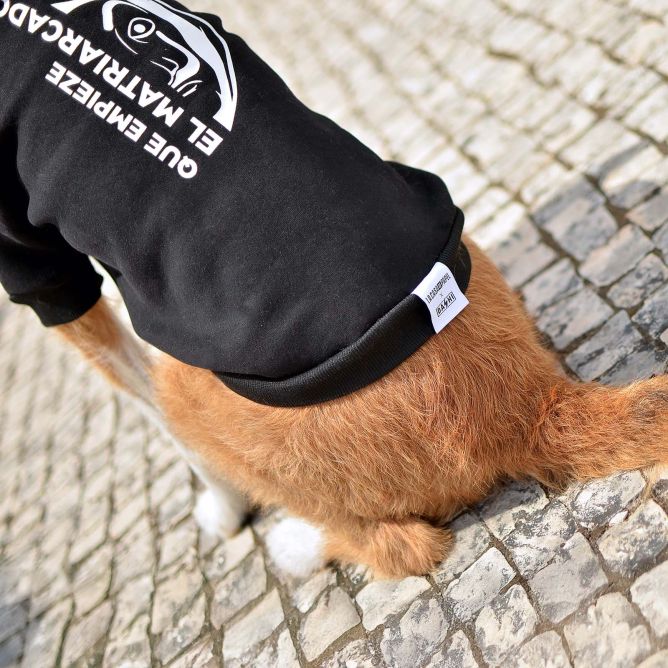 Dashi jaka ar kapuci suņiem LCDP MATRIARCADO, S