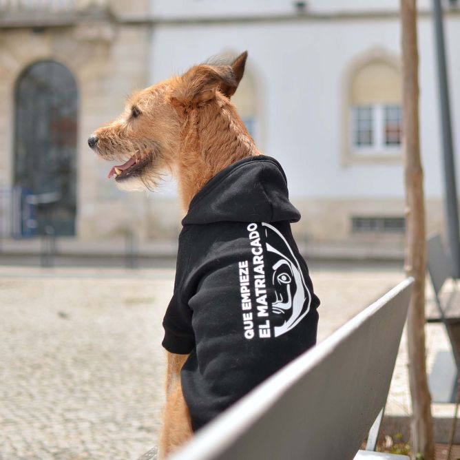 Dashi jaka ar kapuci suņiem LCDP MATRIARCADO, XS