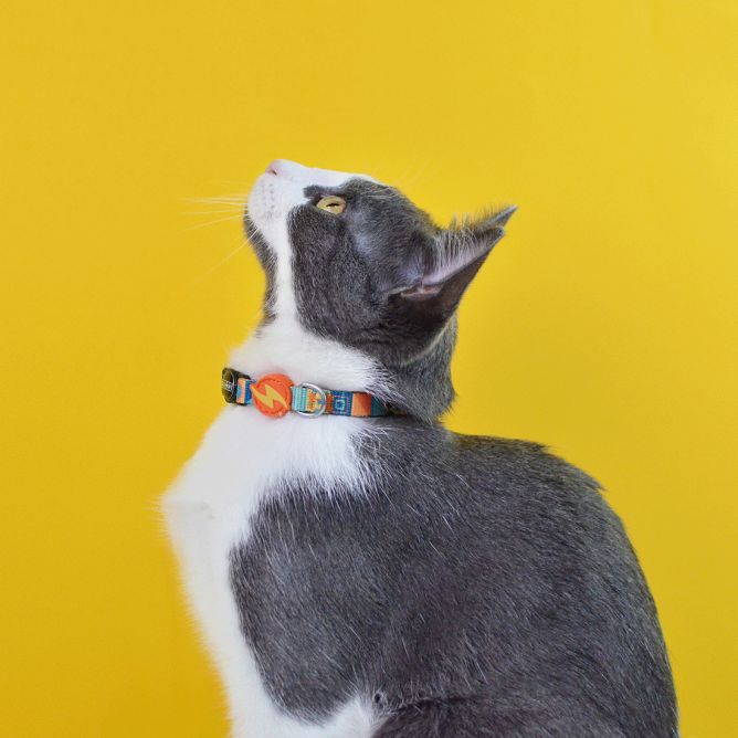 Kaklasiksna kaķiem TERRACOTTA