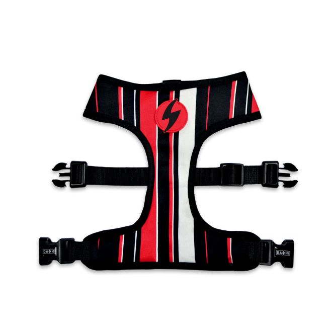 Mīkstie NeoMesh muguras iemaukti suņiem SLIDE, XS