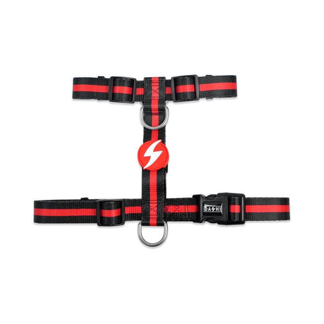 Muguras iemaukti suniem STRIPES3, melns/sarkans, M