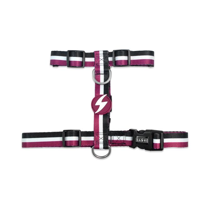 Muguras iemaukti suņiem STRIPES3, violets/melns, M