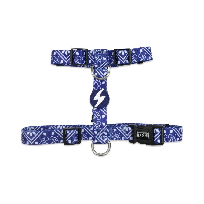 Muguras iemaukti suņiem ZILLIJ, XS