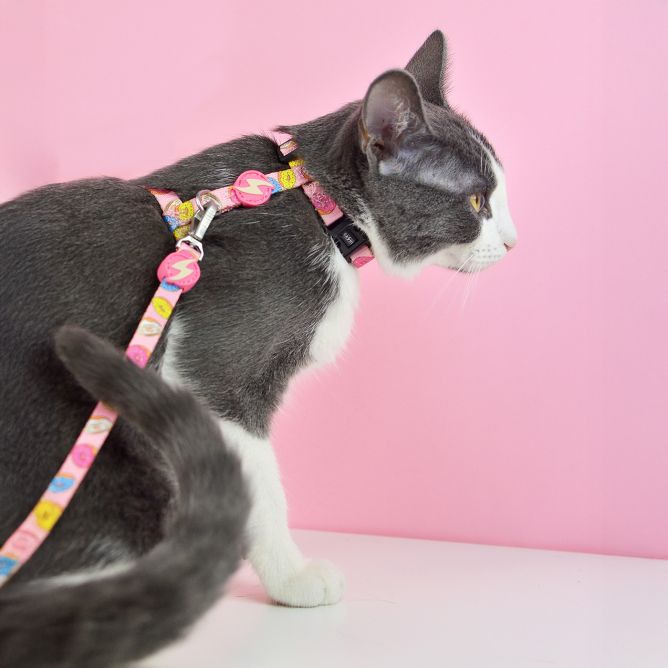 Muguras iemaukti un pavada kaķiem DONUT