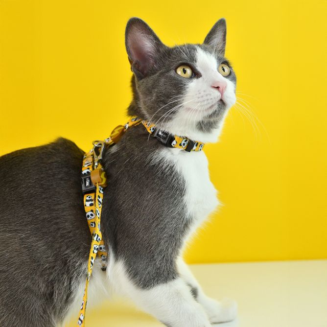 Muguras iemaukti un pavada kaķiem SNOOZE